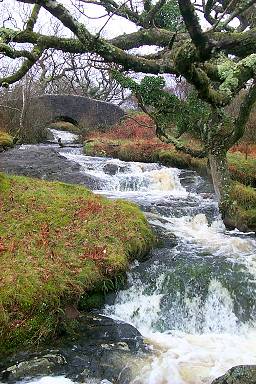 Picture of a waterfall running through the oak woods near Claonaig