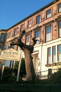 Picture of the Willow Hotel in Glasgow