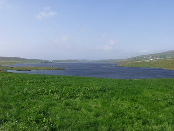 Picture of Spiggie Loch