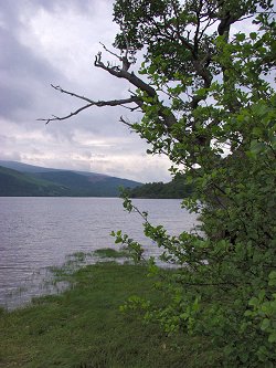 Picture of a view along Loch Lomond