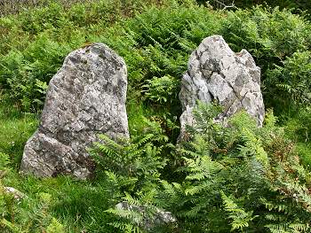 Picture of the standing stones