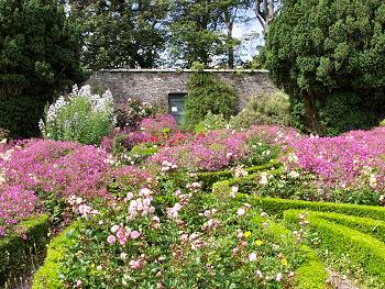 Picture of the Walled Garden