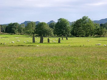 Picture of the standing stones