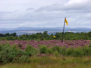 Picture of Culloden Battlefield