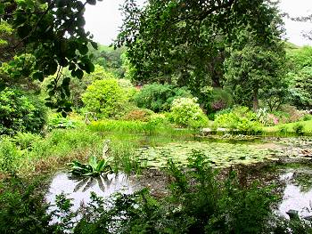 Picture of Arduaine Garden