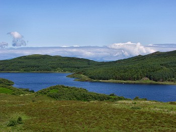 Picture of Loch Mudle