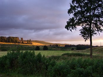 Picture of Carronbridge