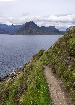 Picture of the path